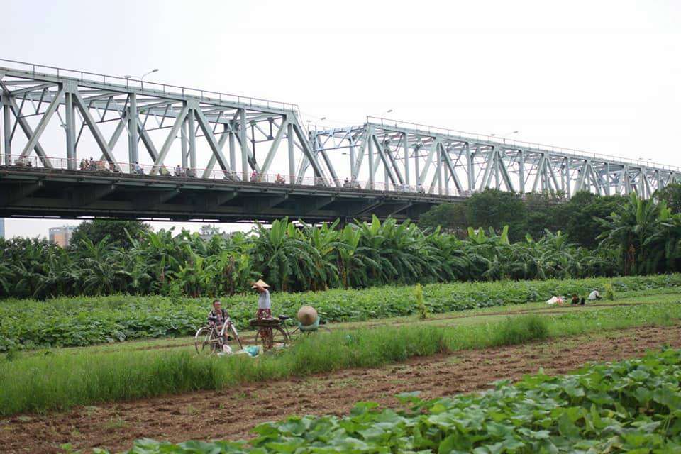 HANOI BIKING AND FARMING TOUR