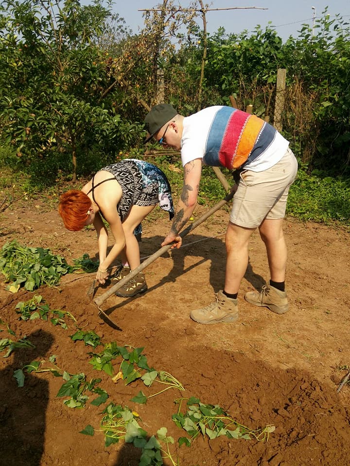 HANOI FARMING AND COOKING CLASS TOUR