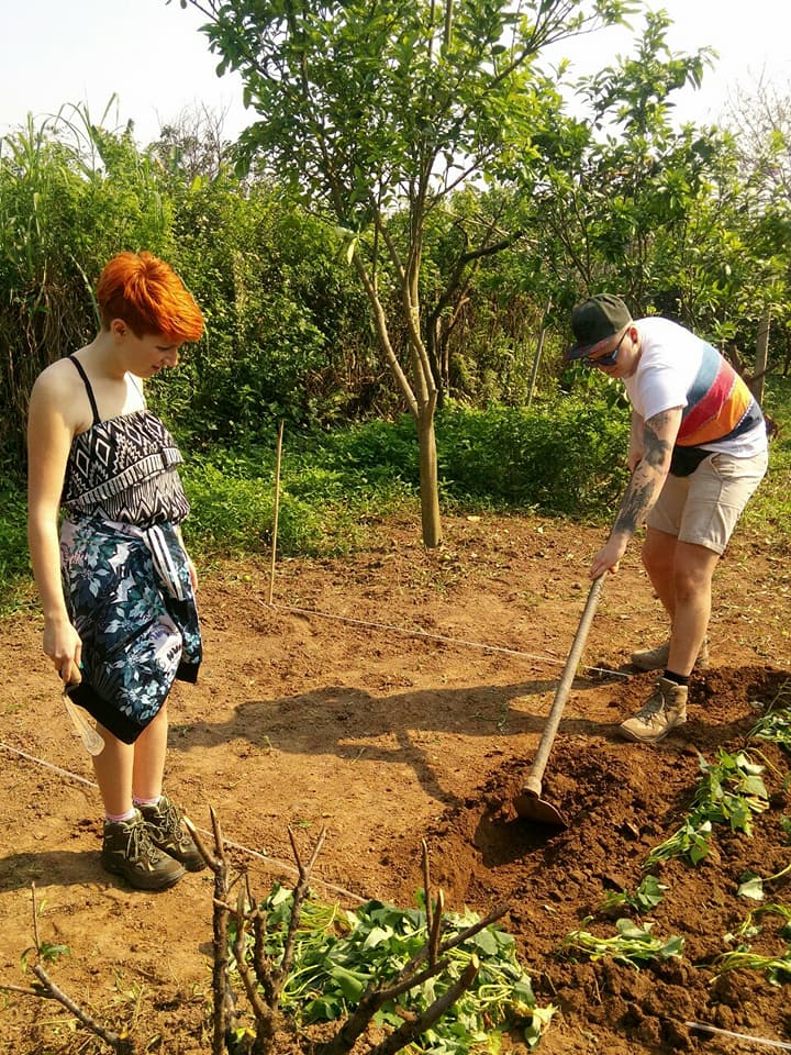 HANOI FARMING  AND BARS TOUR