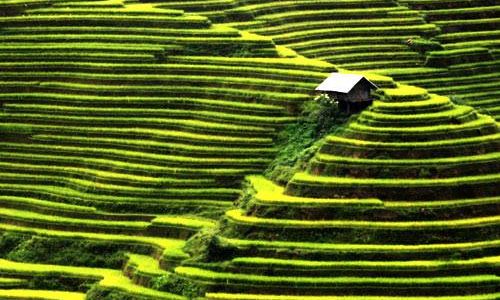 HANOI  – HOA LU – TAM COC  –  SAPA  6 DAYS 5 NIGHTS